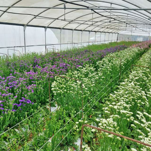 No esperes más y contacta hoy mismo con Agroflor