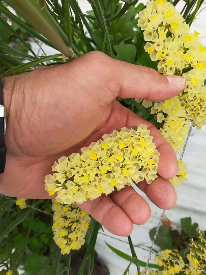 Lo que más nos preguntan nuestros clientes