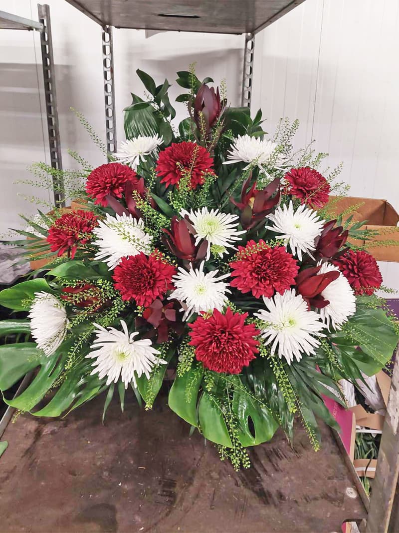 Todo lo que necesitas saber acerca de nuestros servicios