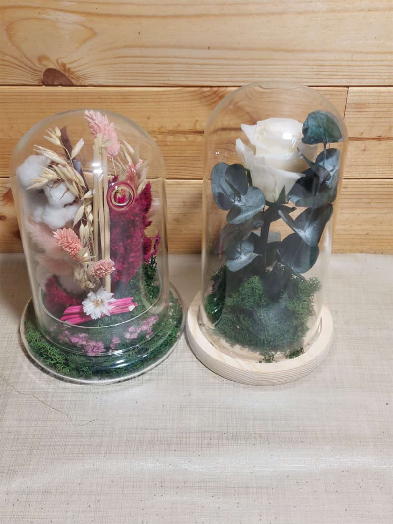 Agroflor, floristería y tienda de plantas en Narón