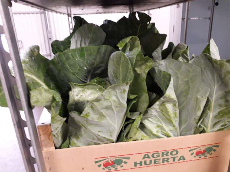 Agroflor, floristería y tienda de plantas en Narón