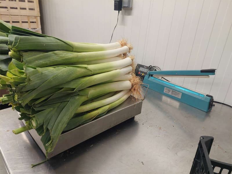 Agroflor, floristería y tienda de plantas en Narón