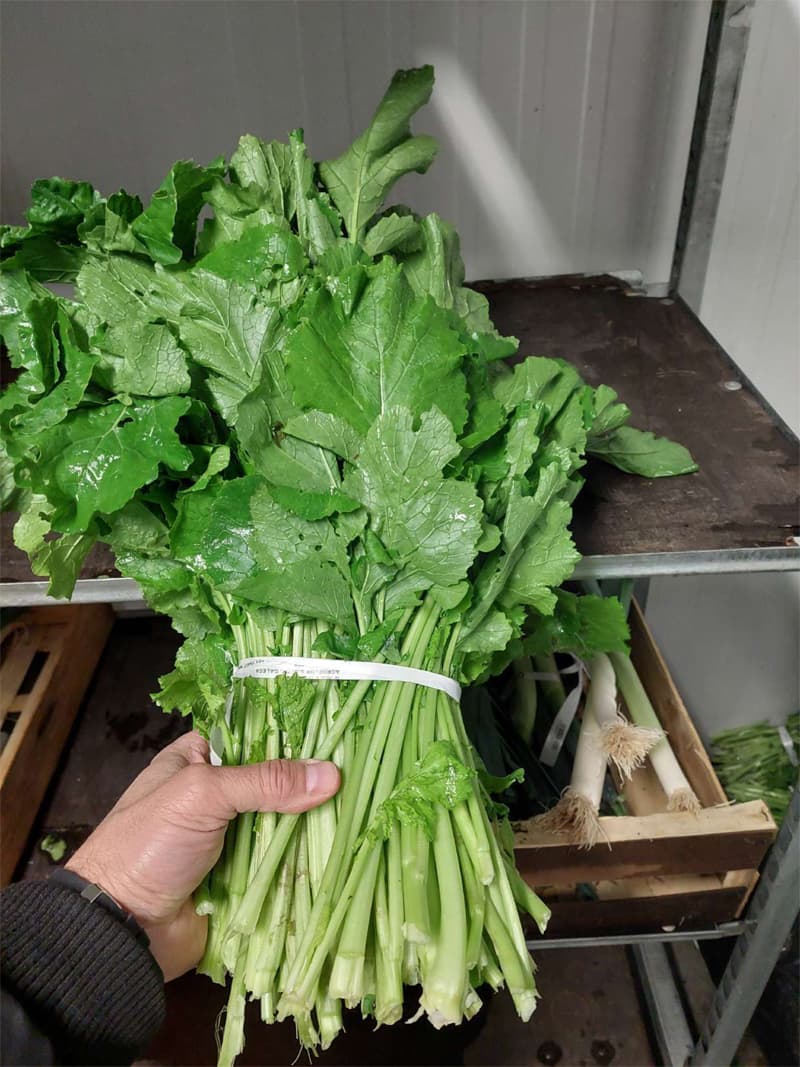 Agroflor, floristería y tienda de plantas en Narón