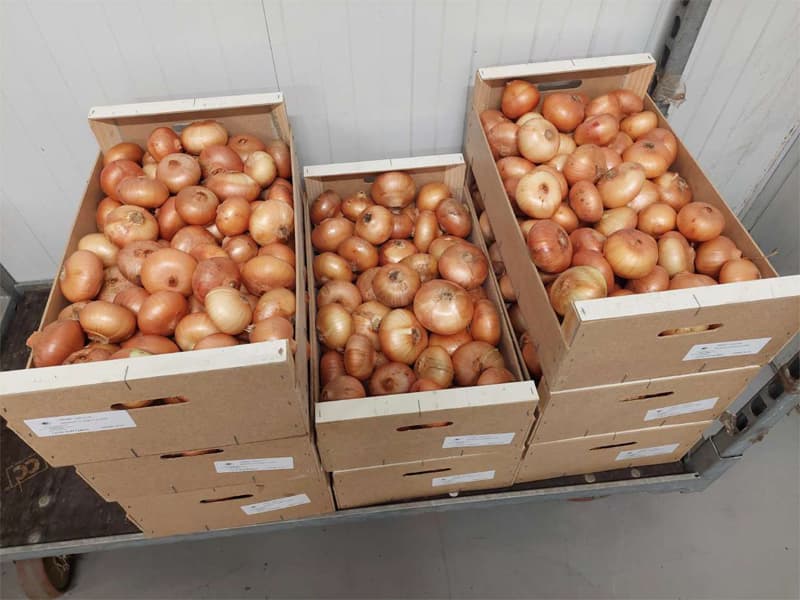 Agroflor, floristería y tienda de plantas en Narón