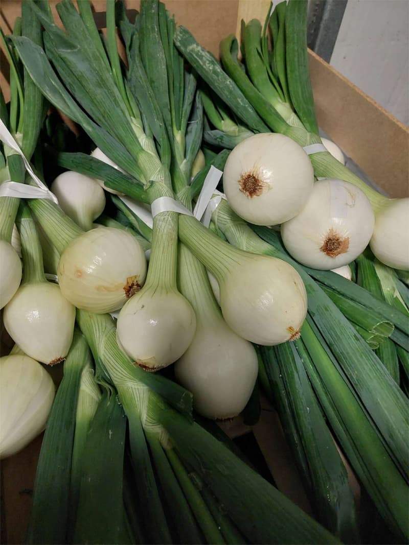 Agroflor, floristería y tienda de plantas en Narón