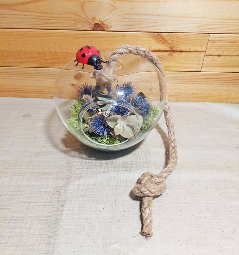 Agroflor, floristería y tienda de plantas en Narón