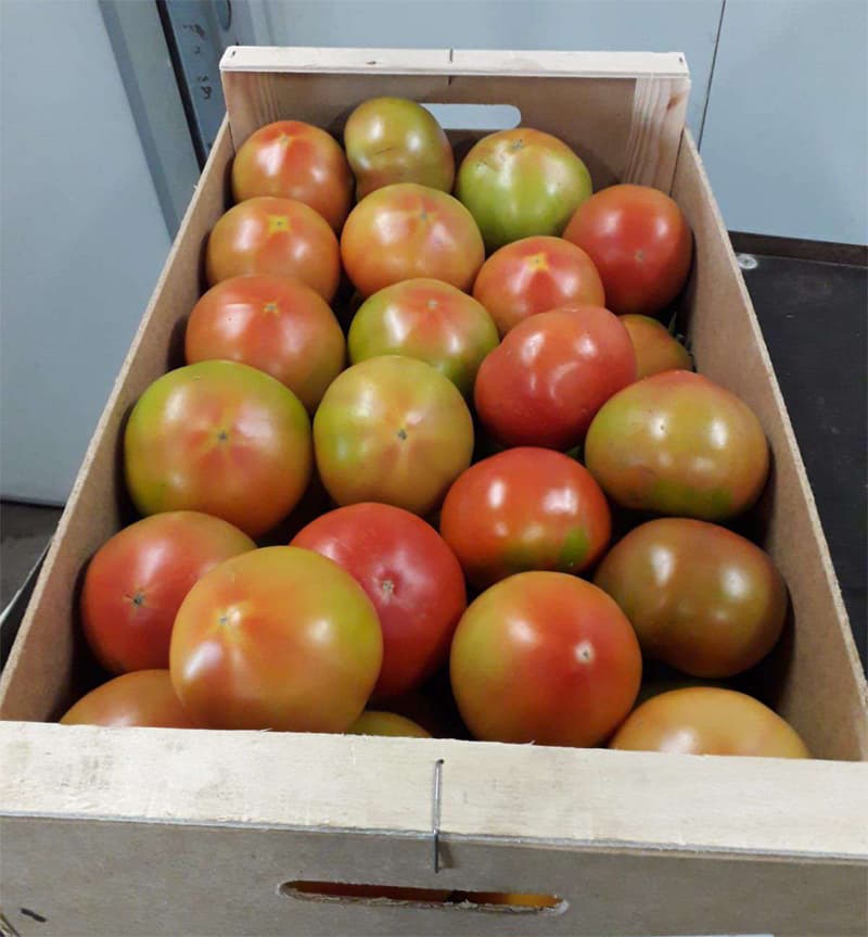 Agroflor, floristería y tienda de plantas en Narón